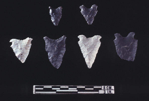 Poplar_Island_copy.jpg 472×600 pixels | Virginia Projectile Points from ...