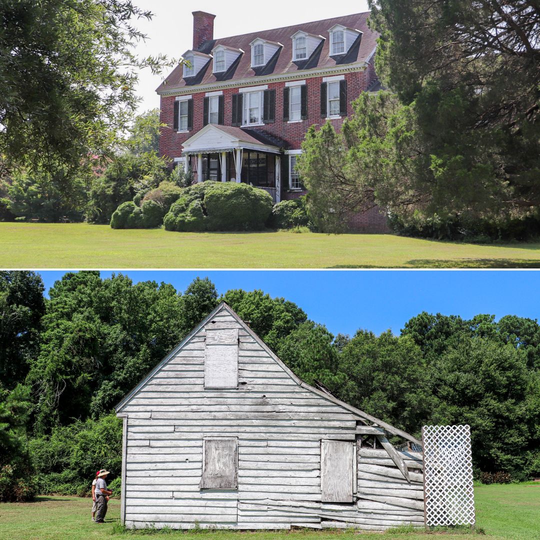 Cessford plantation